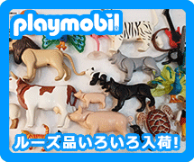 �v���C���[�r��