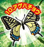 昆虫大王国 ドキドキ昆虫シリーズ 【リーメント】