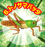 昆虫大王国 ドキドキ昆虫シリーズ 【リーメント】