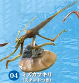 水辺の生き物 昆虫＆甲殻類 【F-TOYS】