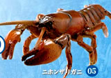水辺の生き物 昆虫＆甲殻類 【F-TOYS】