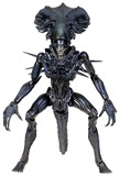 ミクロマン ミクロアクションシリーズ　AVP エイリアン　プレデター　フィギュア Amazon | ミクロマン ミクロアクションシリーズ プレデター