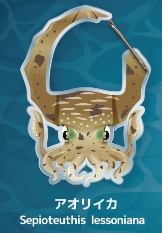 イカトタコノカラビナ 【ディーアイエス】