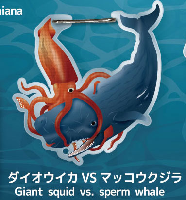 イカトタコノカラビナ 【ディーアイエス】