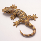 日本の動物コレクション4 四国/最後の清流の郷 海洋堂カプセルQ