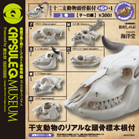ホネコレ！十二支動物頭骨根付 上巻【子～巳編】 【海洋堂】