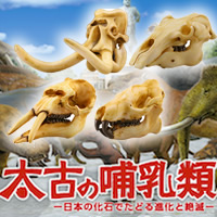 太古の哺乳類 頭骨ストラップ 【海洋堂】