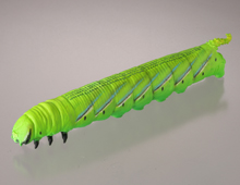 イモコレ！～イモムシストラップコレクション～ 海洋堂カプセルQ