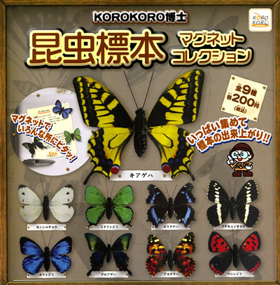 ☆天然石と昆虫標本(フィギュア)のコレクション☆ ドイツ箱マグネット