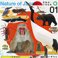 Amazon | ネイチャーテクニカラー Nature of Japan 日本の