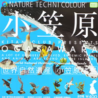 ネイチャーテクニカラーシリーズ 小笠原 NATURE TECHNI COLOUR 【奇譚 