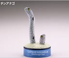 日本水族館立体生物図録 第6巻 カプセルアクアリウム6 【海洋堂】