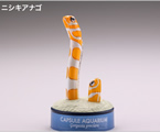 日本水族館立体生物図録 第6巻 カプセルアクアリウム6 【海洋堂】