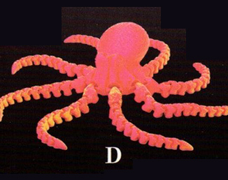 タコ 大迫力！可動するタコ 【Qualia/KKTOYS】