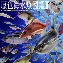 原色海水魚図鑑II
