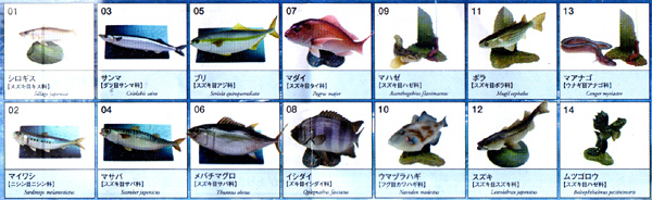 原色海水魚図鑑II