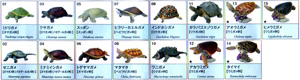 原色爬虫類カメ目図鑑 新改訂版 【ユージン】