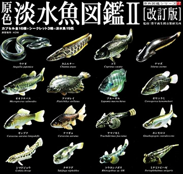 全ての 希少 フィギュア(生き物)｜売買 原色淡水魚図鑑 原色淡水魚図鑑