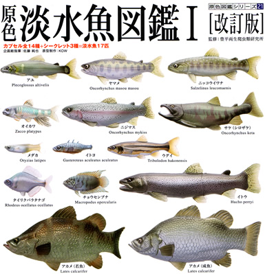 原色淡水魚図鑑I （改訂版） 【YUJIN】