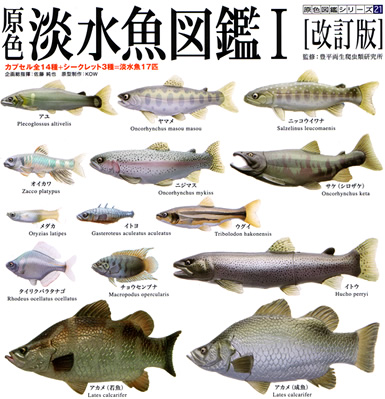 原色淡水魚図鑑i 改訂版 Yujin